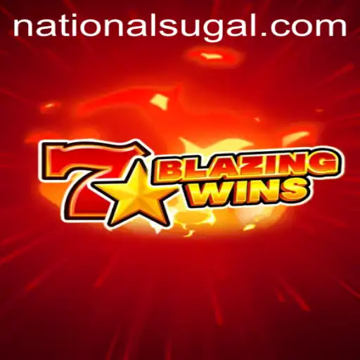 Exploring the Thrilling World of BlazingWins at National Casino